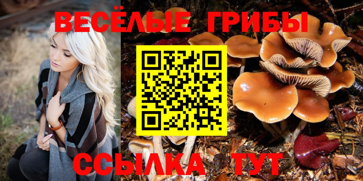 Псилоцибиновые грибы Psilocybine cubensis Алушта